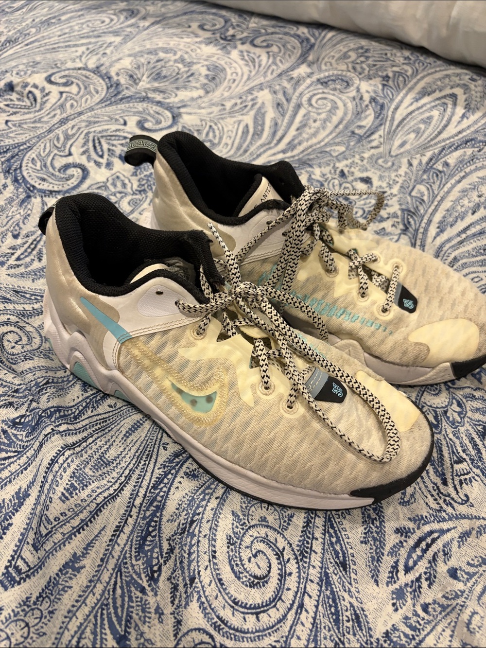 Nike Giannis 6Y basketball sneakers